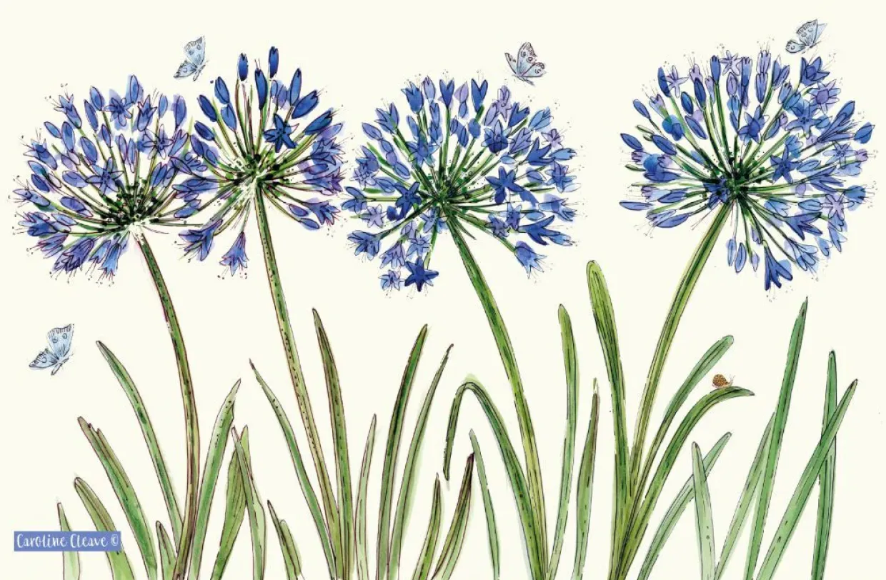 Agapanthus Tea Towel