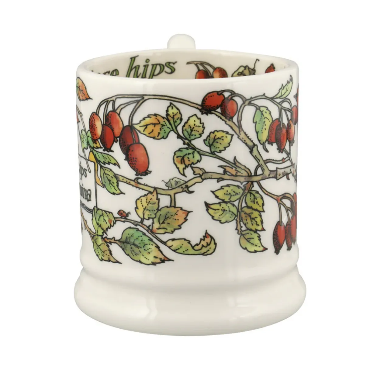 Birds In The Hedgerow Rosehip & Robin 1/2 Pint Mug