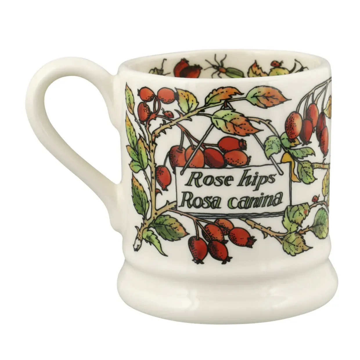 Birds In The Hedgerow Rosehip & Robin 1/2 Pint Mug