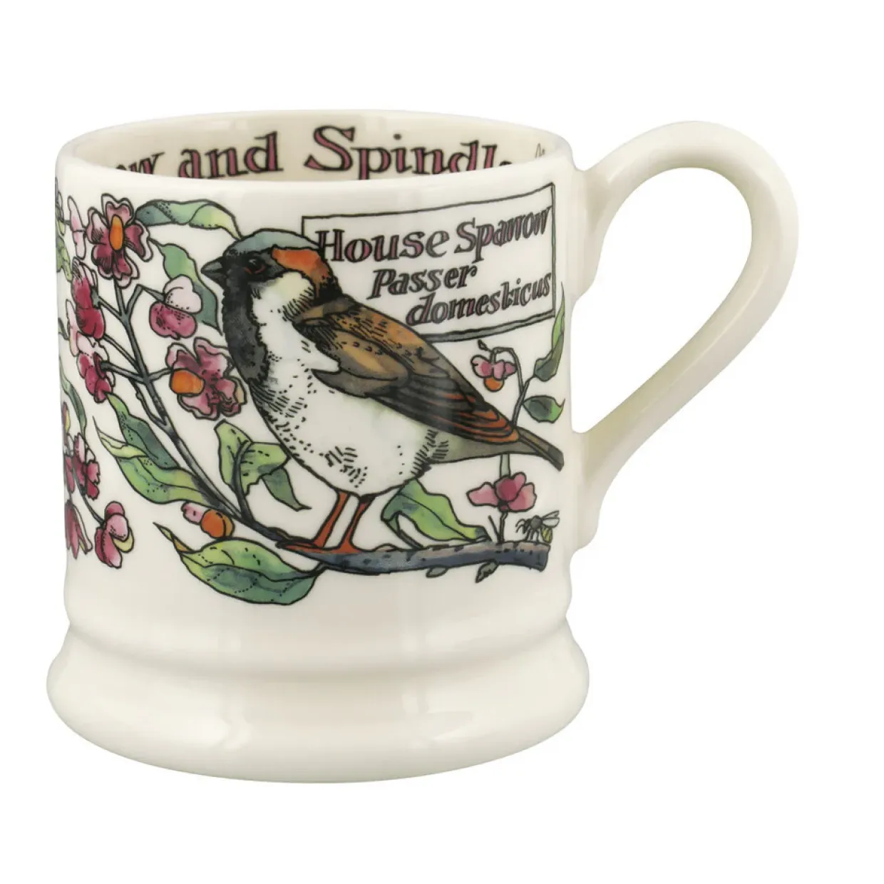 Birds In The Hedgerow Spindle & House Sparrow 1/2 Pint Mug
