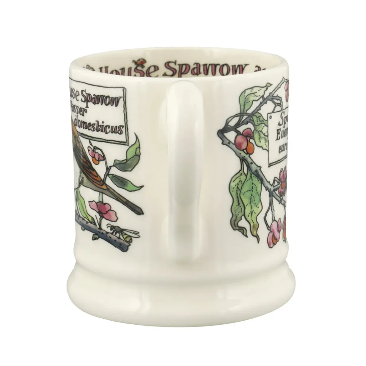 Birds In The Hedgerow Spindle & House Sparrow 1/2 Pint Mug