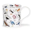 Bute Birdlife Coastal Birds