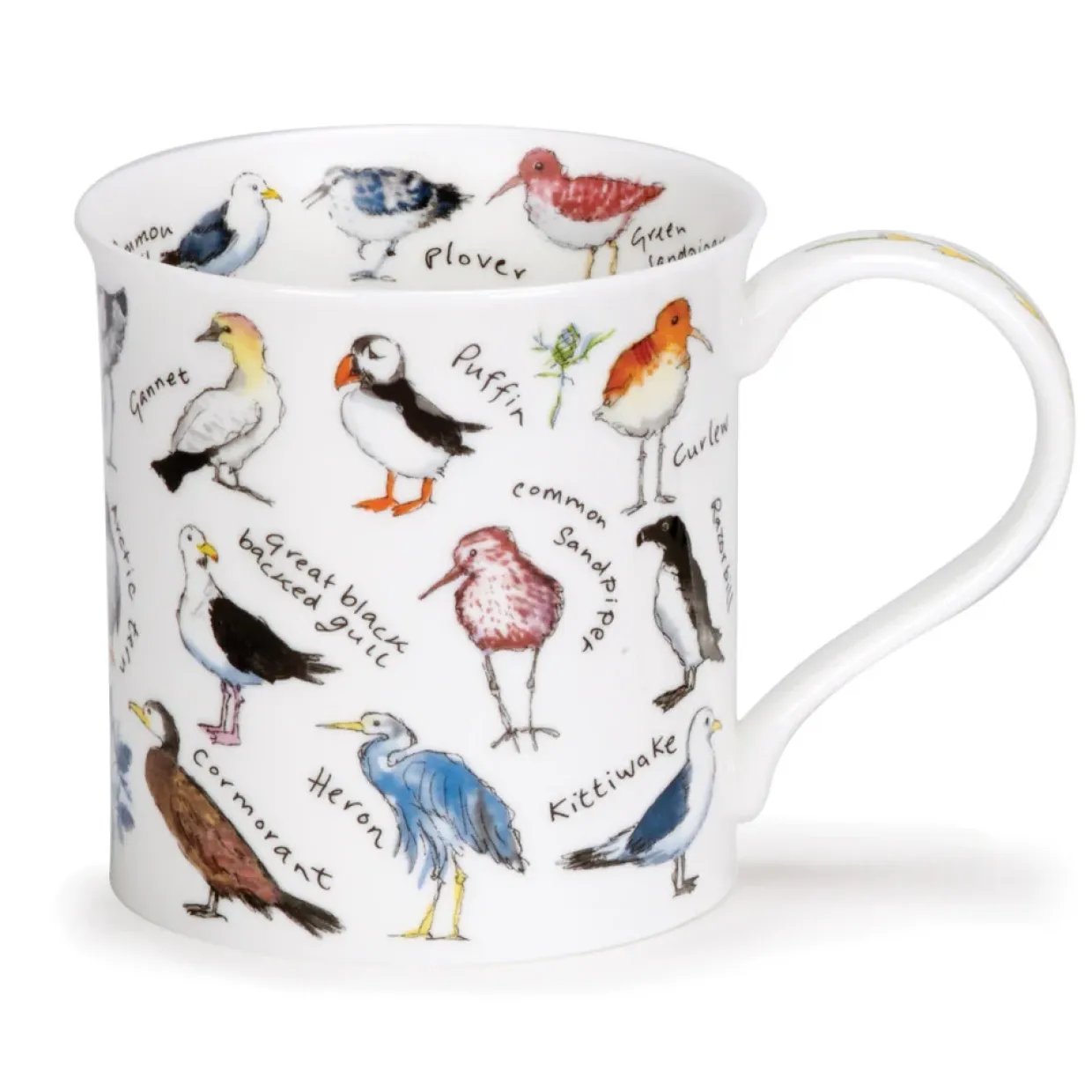 Bute Birdlife Coastal Birds
