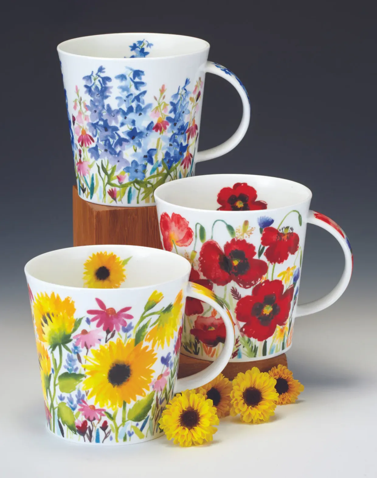 Cairngorm Campagne Mug