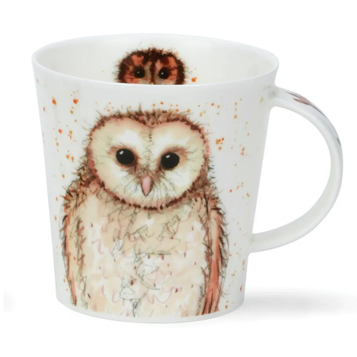Cairngorm What A Hoot! Mugs