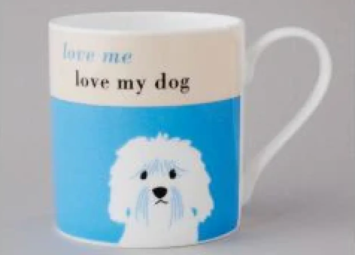 Happiness Cockapoo/Cavapoo Turquoise Mug