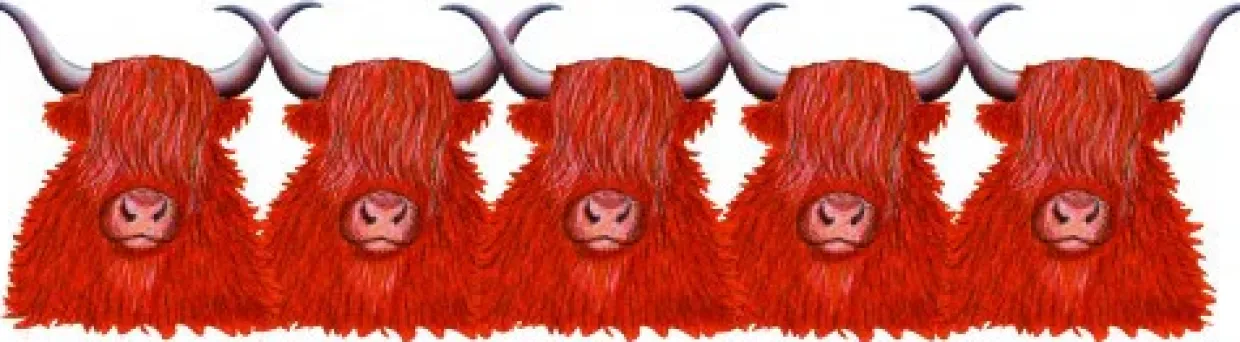 Highland Cow Mug By Moorland Pottery
