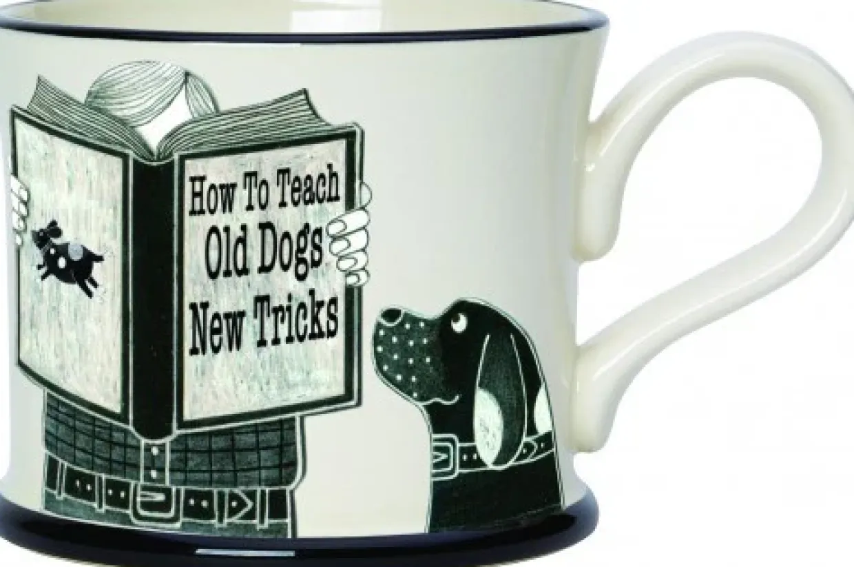 How To Teach An Old Dog New Tricks Mug By Moorland Pottery