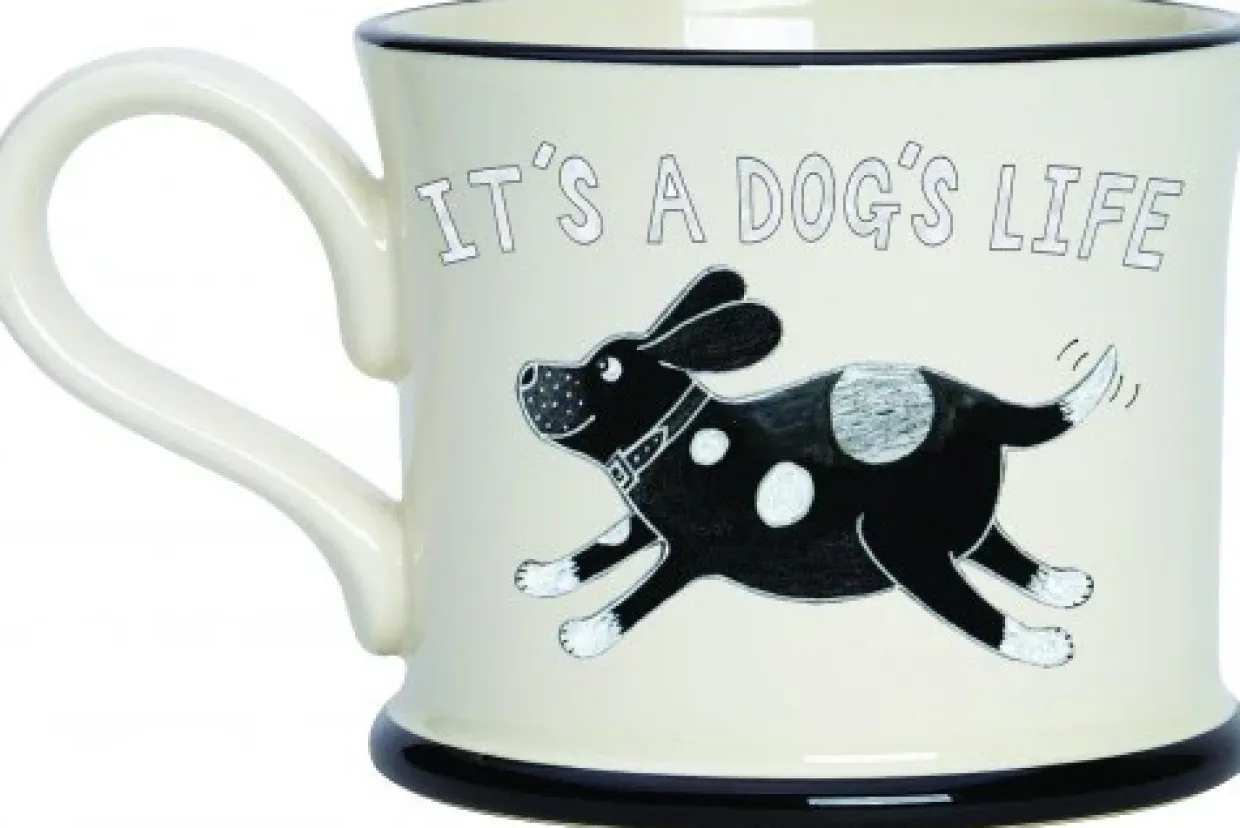 How To Teach An Old Dog New Tricks Mug By Moorland Pottery