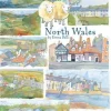 North Wales By Emma Ball Tea Towel